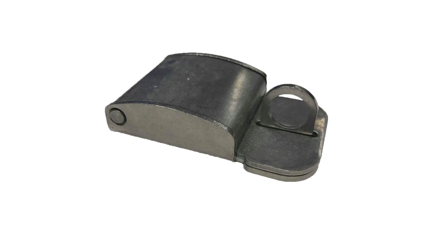 RS PRO Hasp For Use With RS PRO GRP Wall Boxes