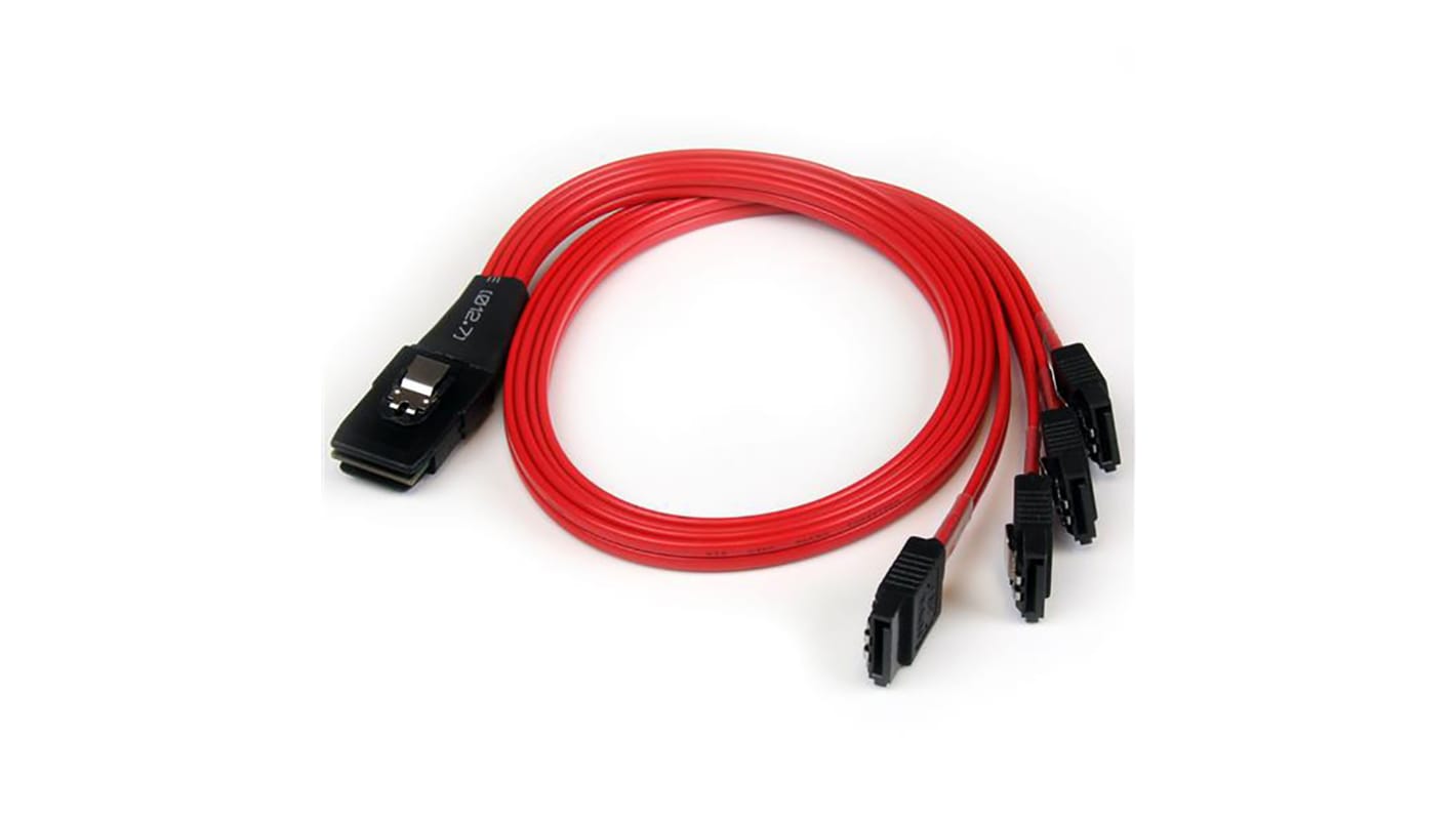 Cable SATA Startech, con. A: Mini-SAS interno de 36 vías, con. B: Datos SATA x 4 de 7 vías, long 500mm