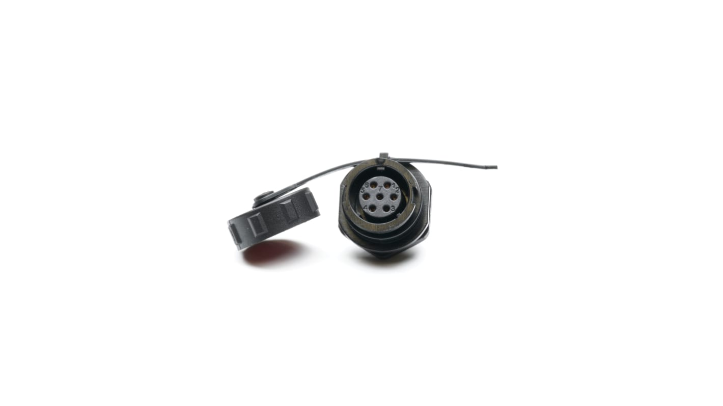 Conector circular RS PRO hembra de 7 vías hembra, IP67