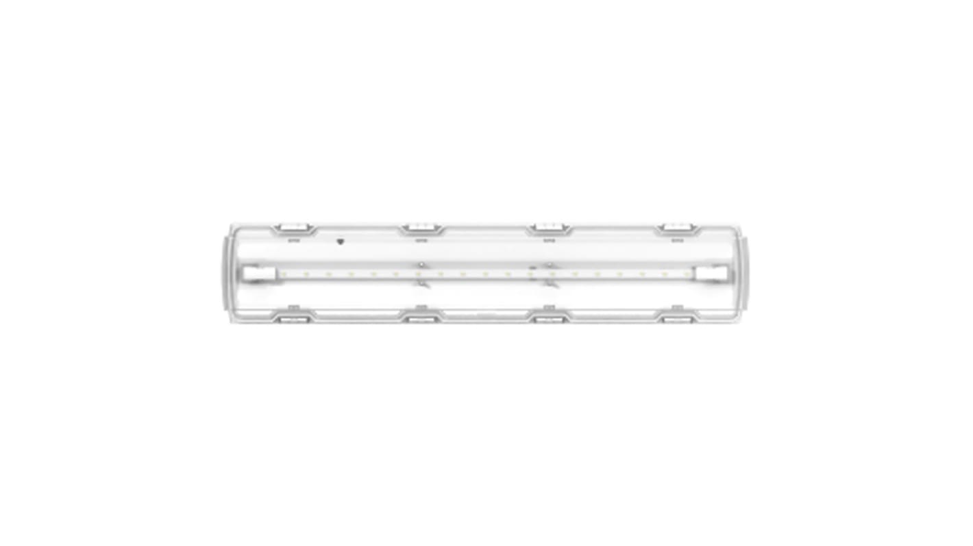 Lampada di emergenza LED Schneider Electric, L. 620 mm, 300 mW, autonomia 4h