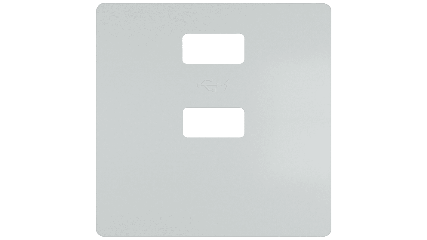 Siemens 2 Way USB Faceplate