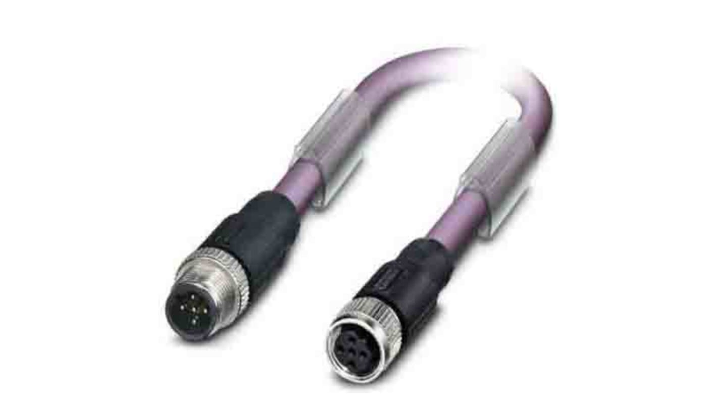 Phoenix Contact Straight Male 2 way M12 to Straight Female 2 way M12 Bus Cable, 500mm