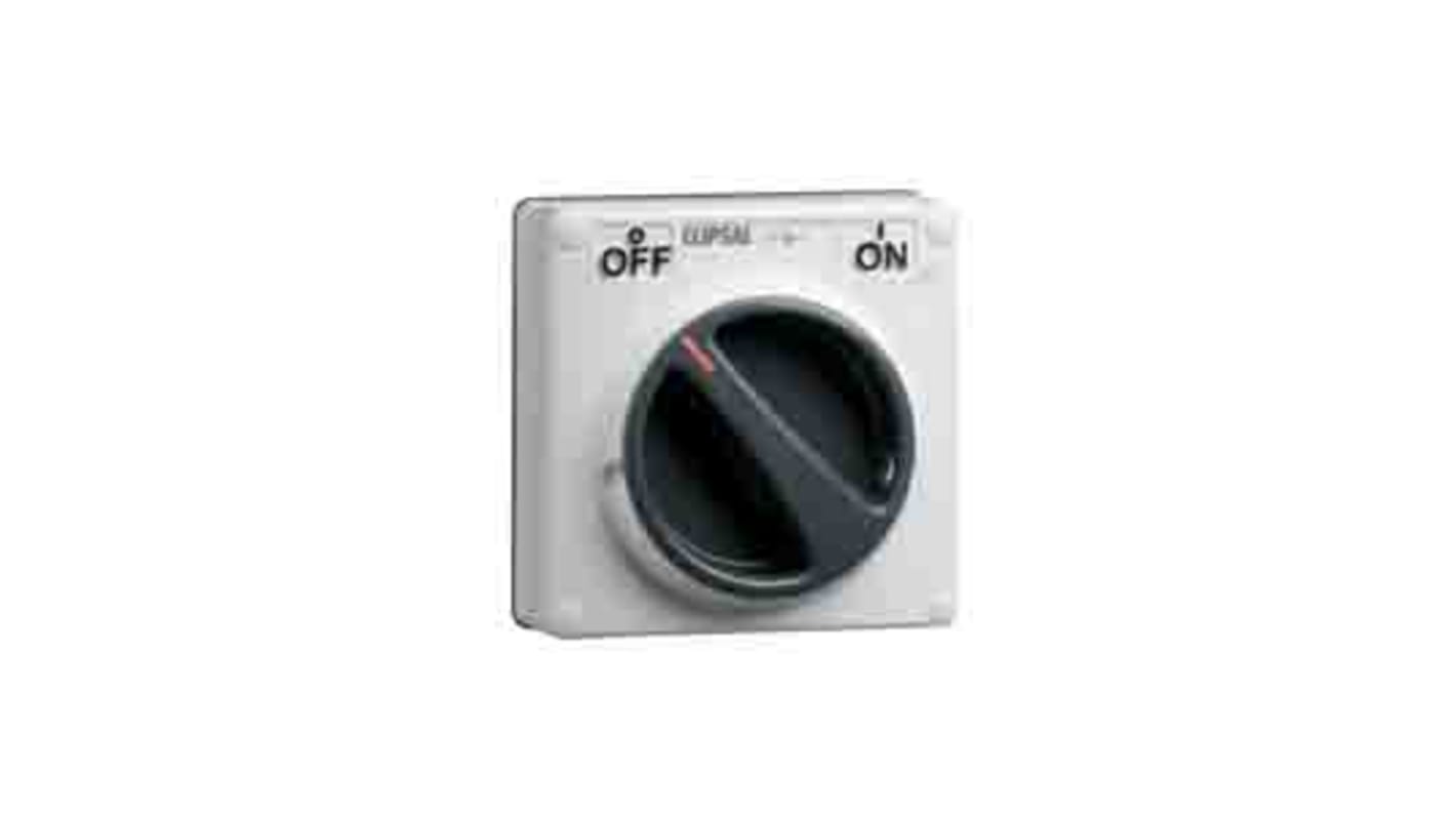 Clipsal Electrical 1P Pole Surface Mount Isolator Switch - 15A Maximum Current, IP66