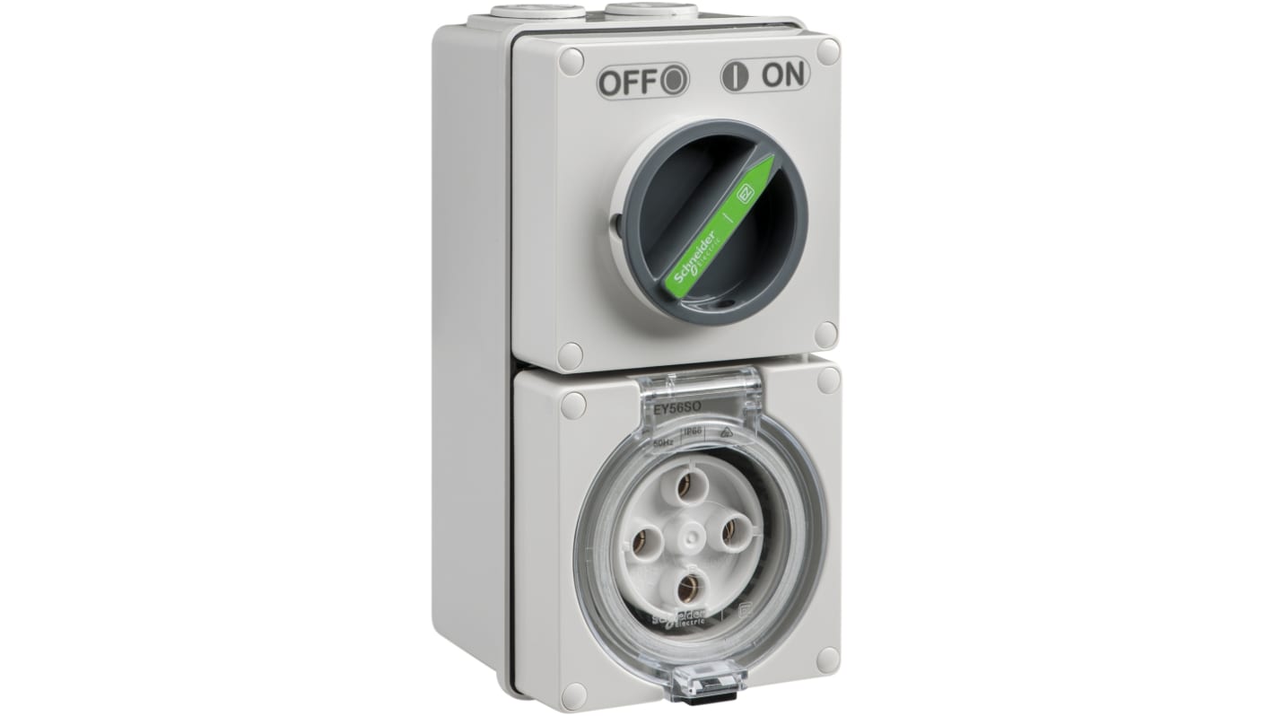 EY56C432 | Clipsal Electrical IP66 Grey, Rated At 32A, 500 V | RS
