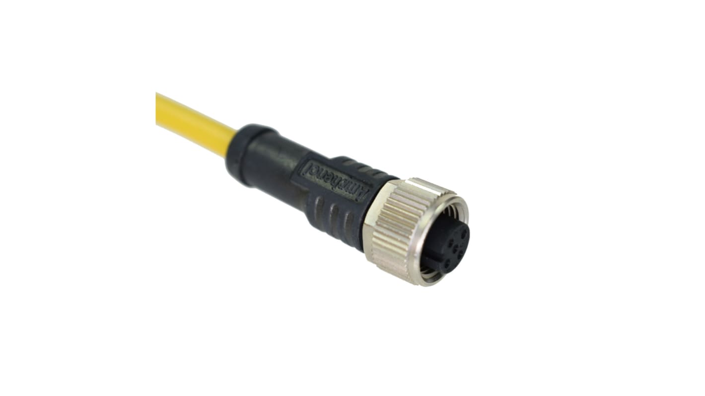Cable de conexión Amphenol, con. A M12 Hembra, 17 polos, con. B Sin terminación, cod.: A, long. 2m