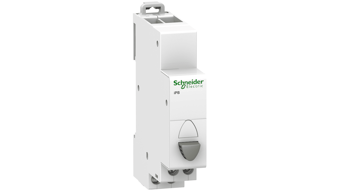 Schneider Electric 250V (Volts) Push Button