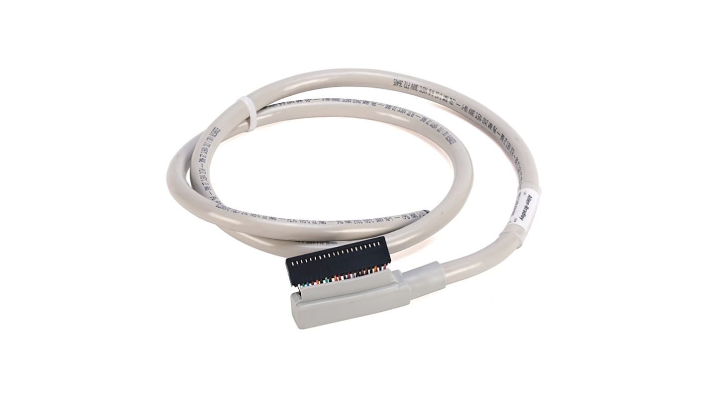 Rockwell Automation Digitale Kabelverbindung für 1746 SLC 500, 1756 ControlLogix, 1769 CompactLogix, 1771 PLC-5