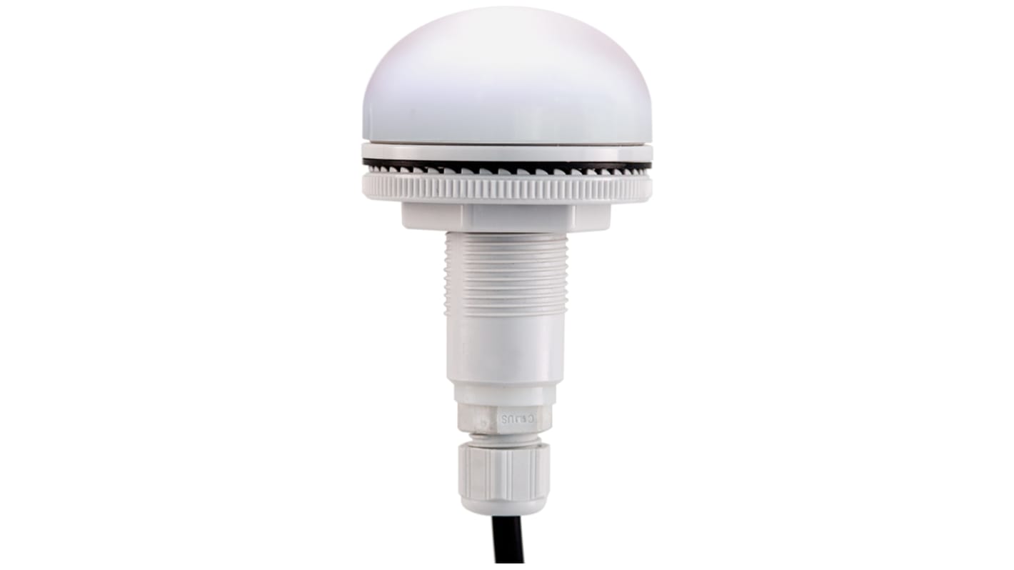 RS PRO White Multiple Effect Beacon, 12 → 24 V, Panel Mount, LED Bulb, IP66