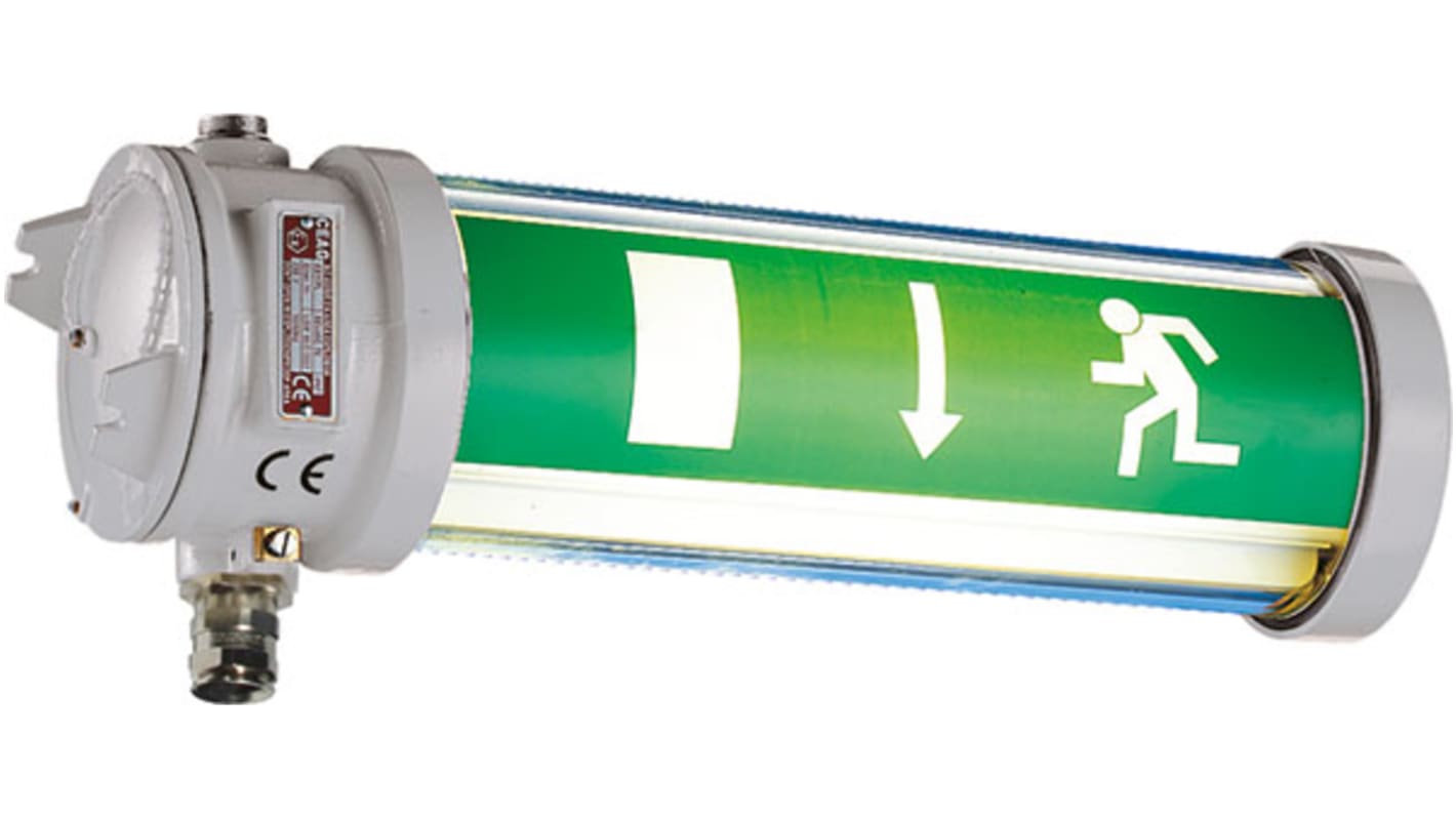 NOR000005160010 Eaton Emergency Hazardous Area Light Fitting, LED
