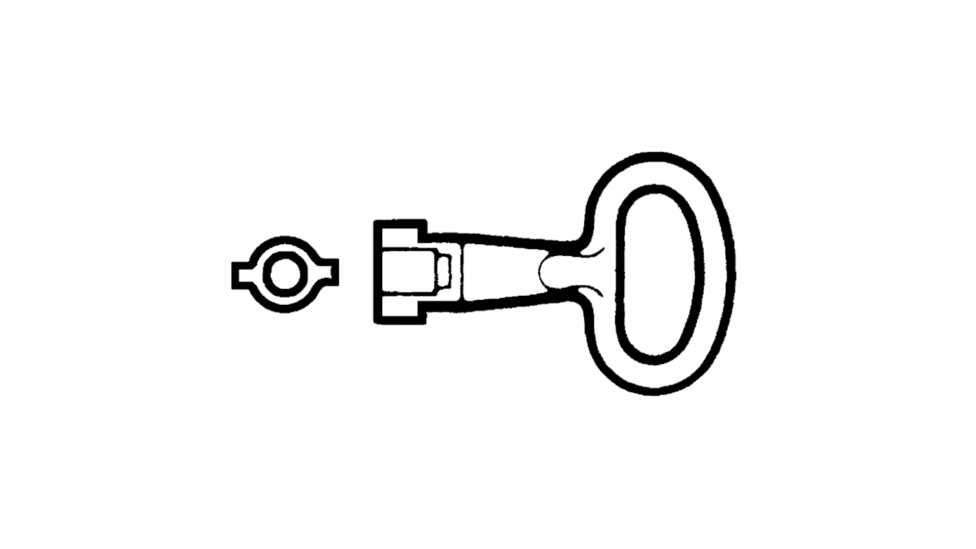 Schneider Electric NS Series 5mm Double Bit Key For Use With Spacial, Thalassa