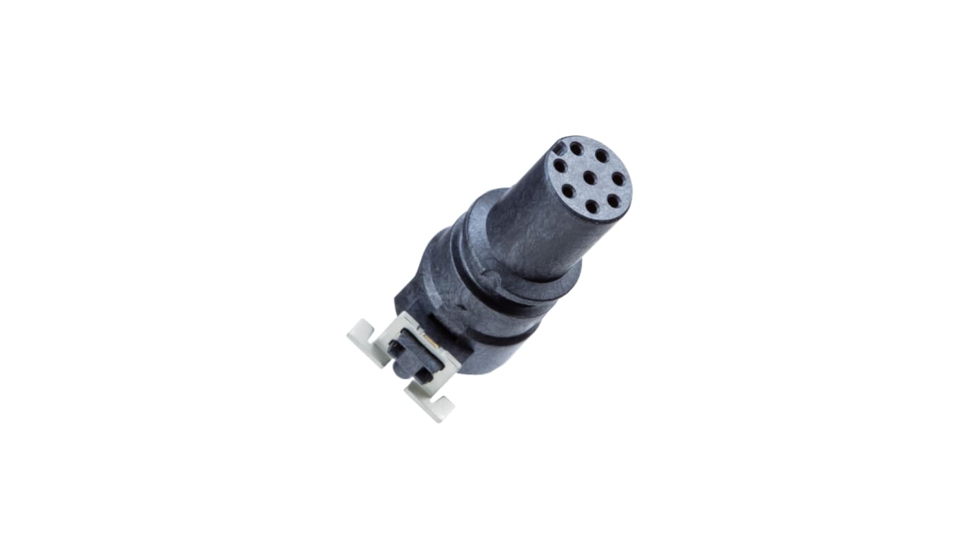 Amphenol Industrial Circular Connector, 8 Contacts, Surface Mount, M8 Connector, Socket, M Series