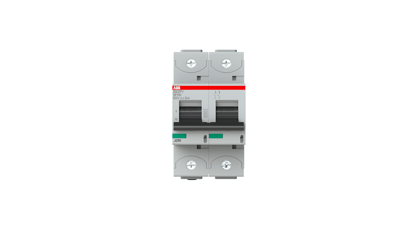 Interruttore magnetotermico ABB 2P 100A, Tipo B