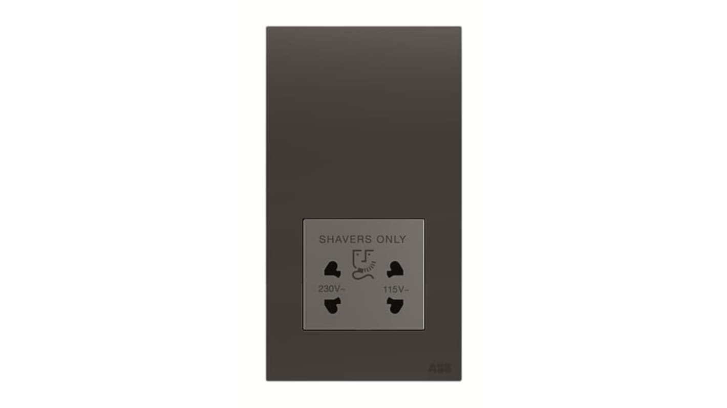 ABB Black 2 Gang Shaver Socket, 20A