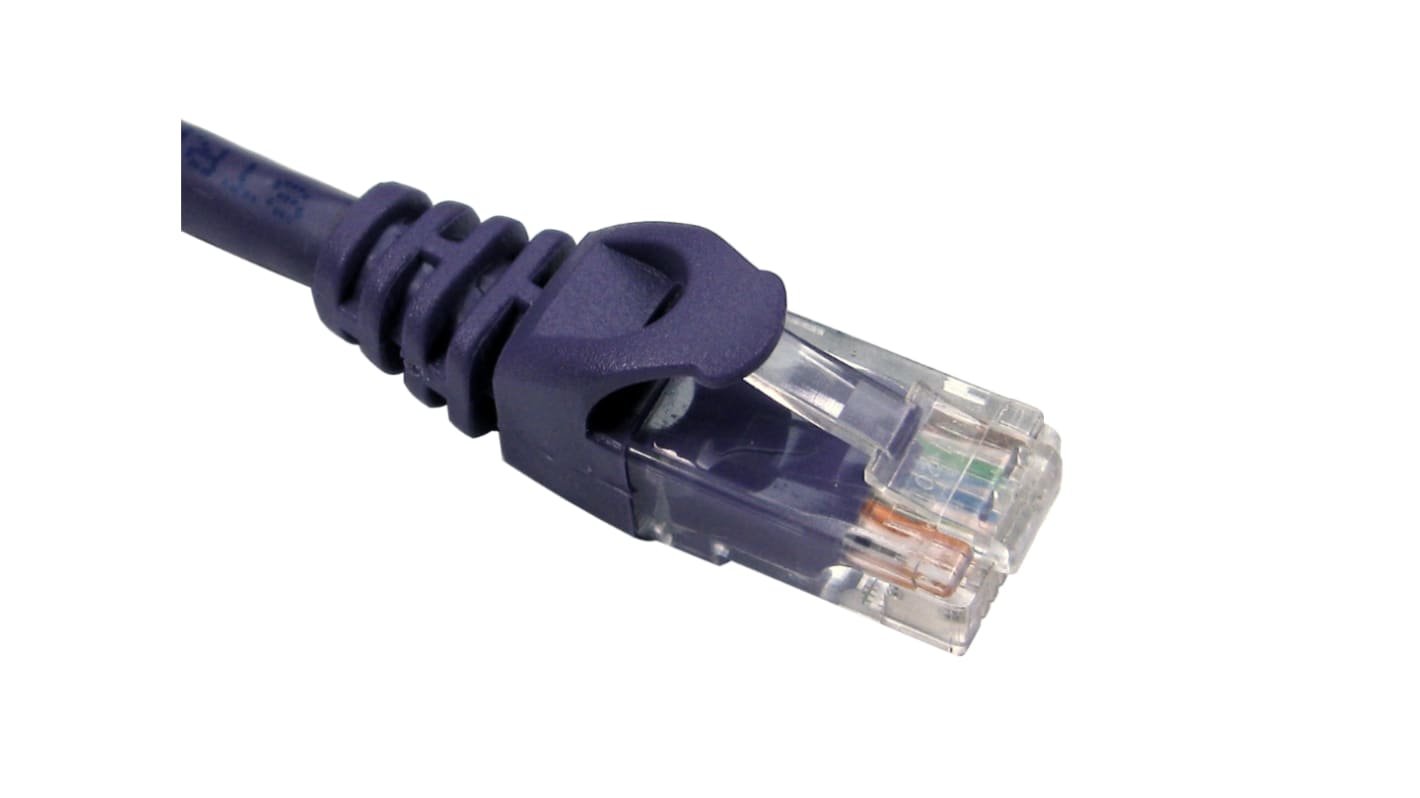 Cavo Ethernet Cat6 RS PRO col. Porpora, L. 2m, Con terminazione