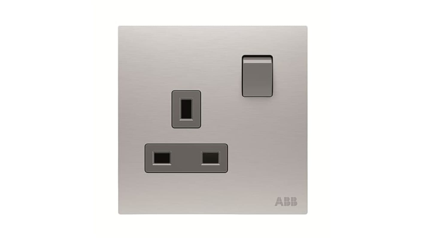 ABB Silver Electrical Socket, 2 Poles, 13A