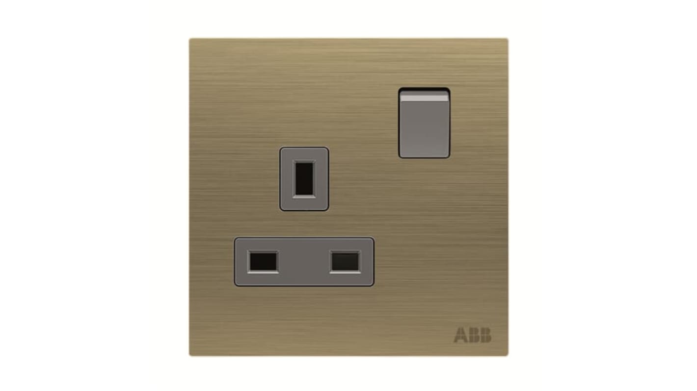 ABB Gold Electrical Socket, 2 Poles, 13A