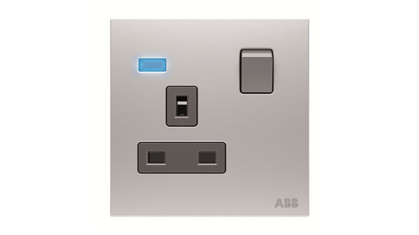 ABB Silver Electrical Socket, 2 Poles, 13A