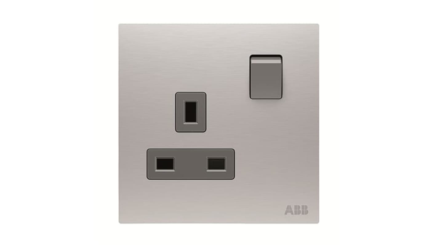 ABB Silver Electrical Socket, 2 Poles, 13A