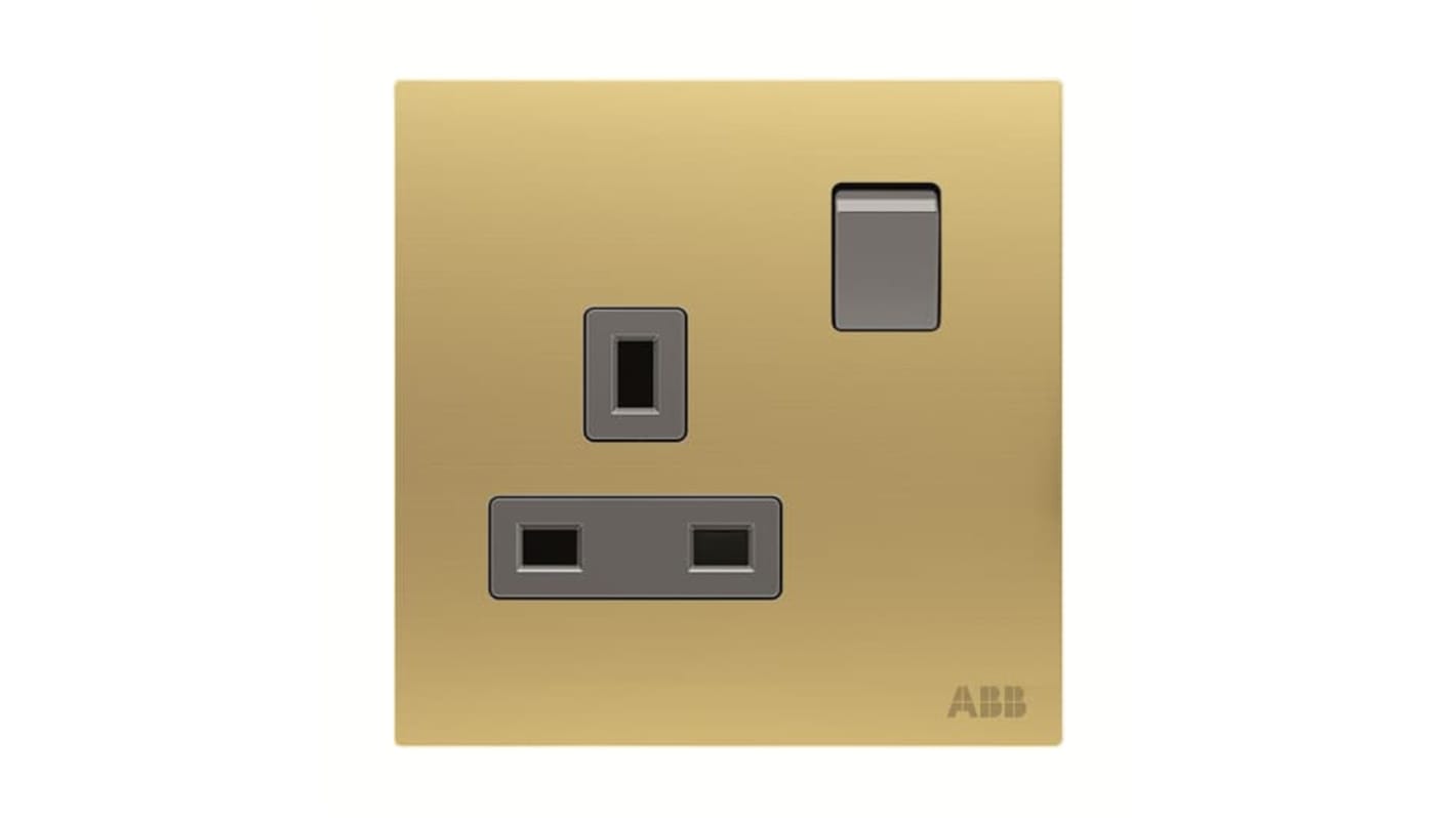 ABB Gold Electrical Socket, 2 Poles, 13A