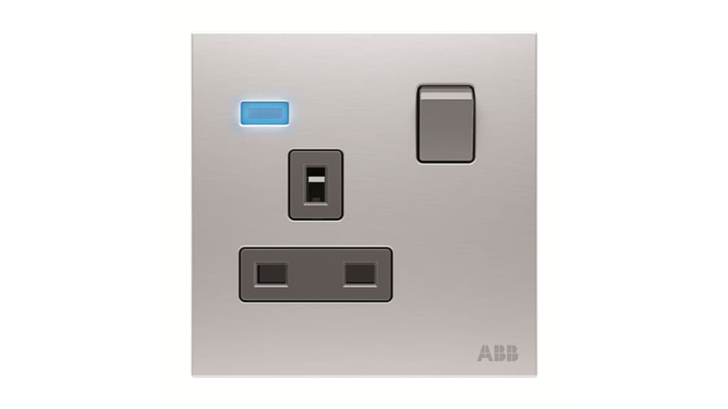 2CLA623749N1101 ABB Silver Electrical Socket, 2 Poles, 13A RS