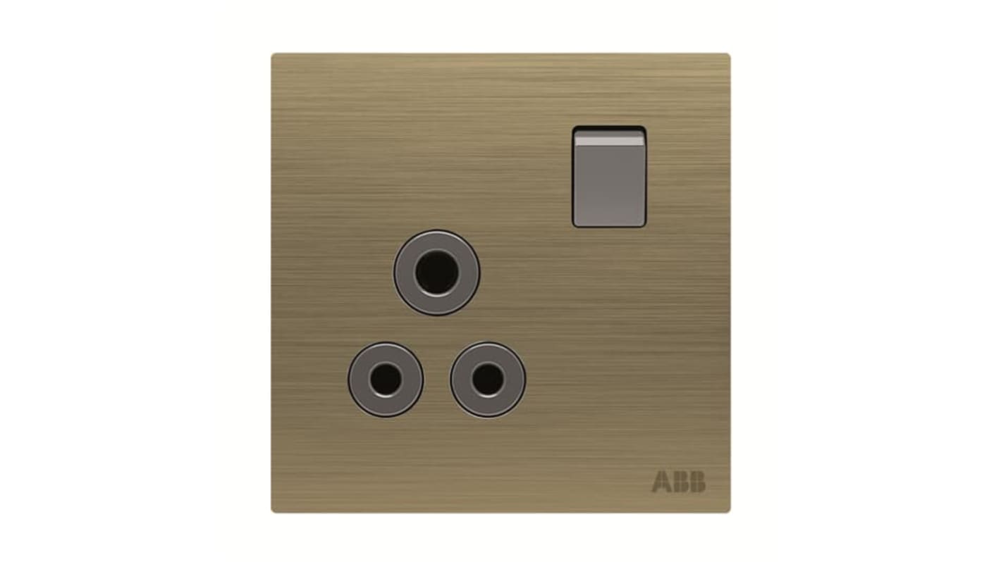 ABB Gold Electrical Socket, 2 Poles, 13A