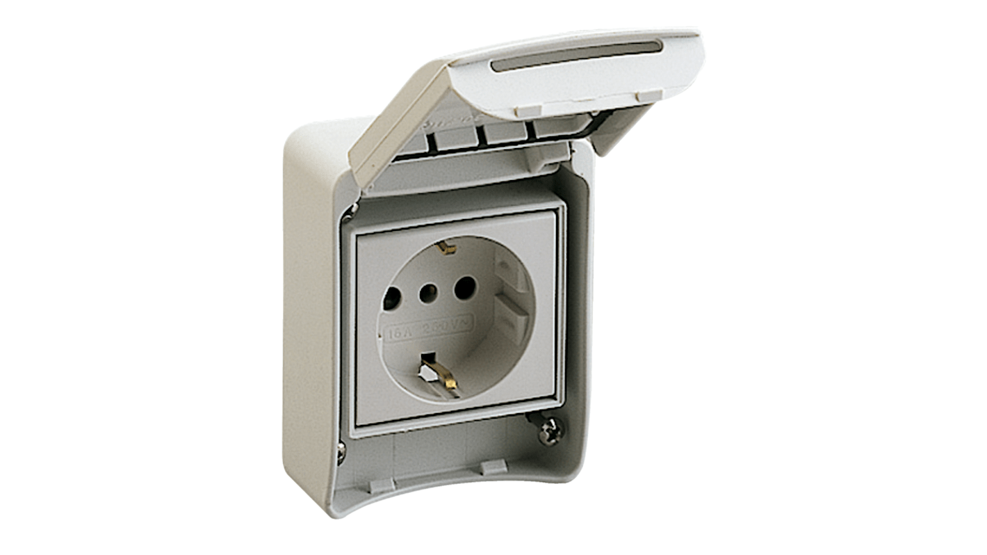 81141 Schneider Electric Grey 1 Gang Electrical Socket, 2 Poles, 10 A
