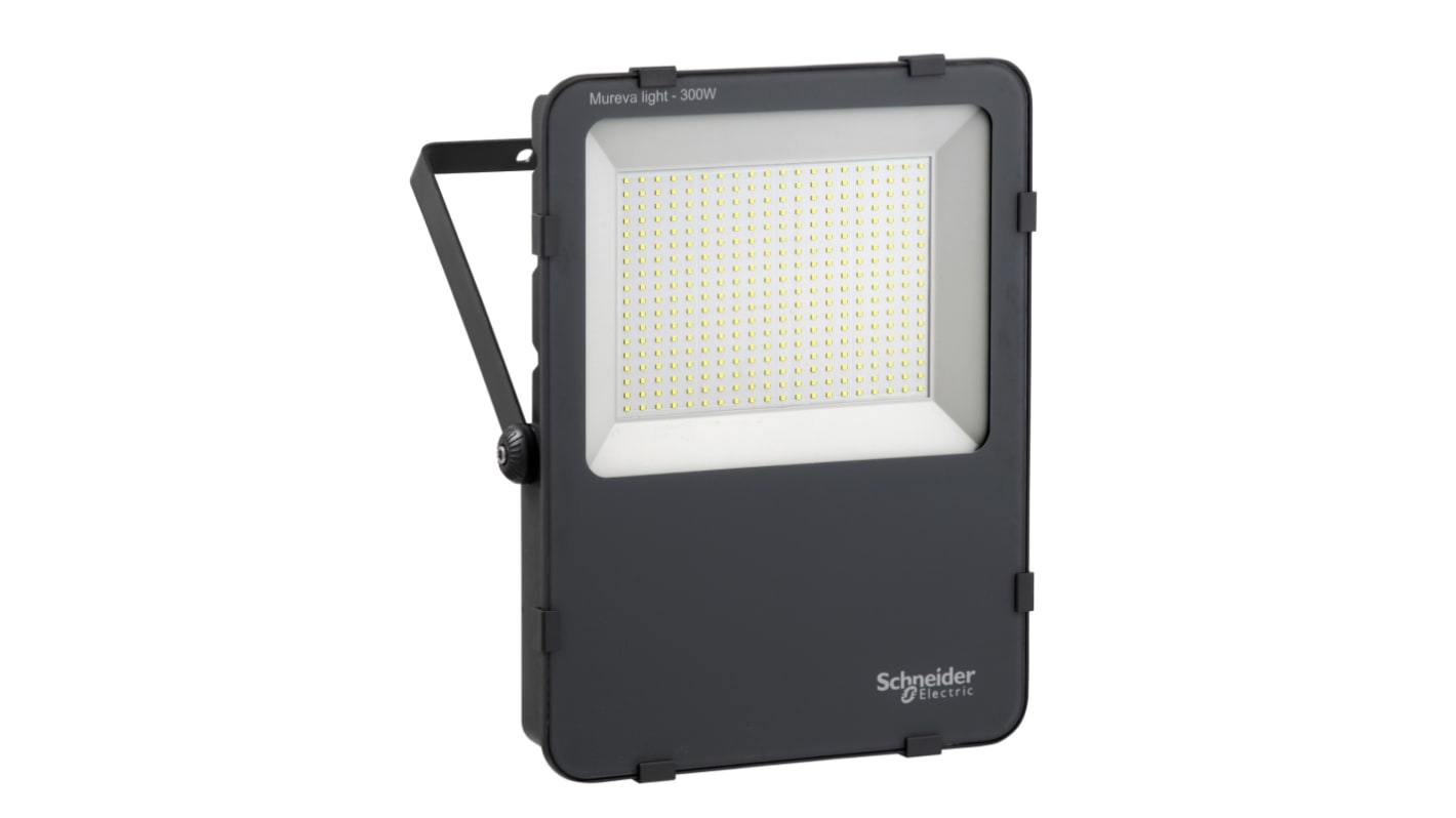 Schneider Electric IMT47224 LED Work Light, 300 W, 230 V, IP65