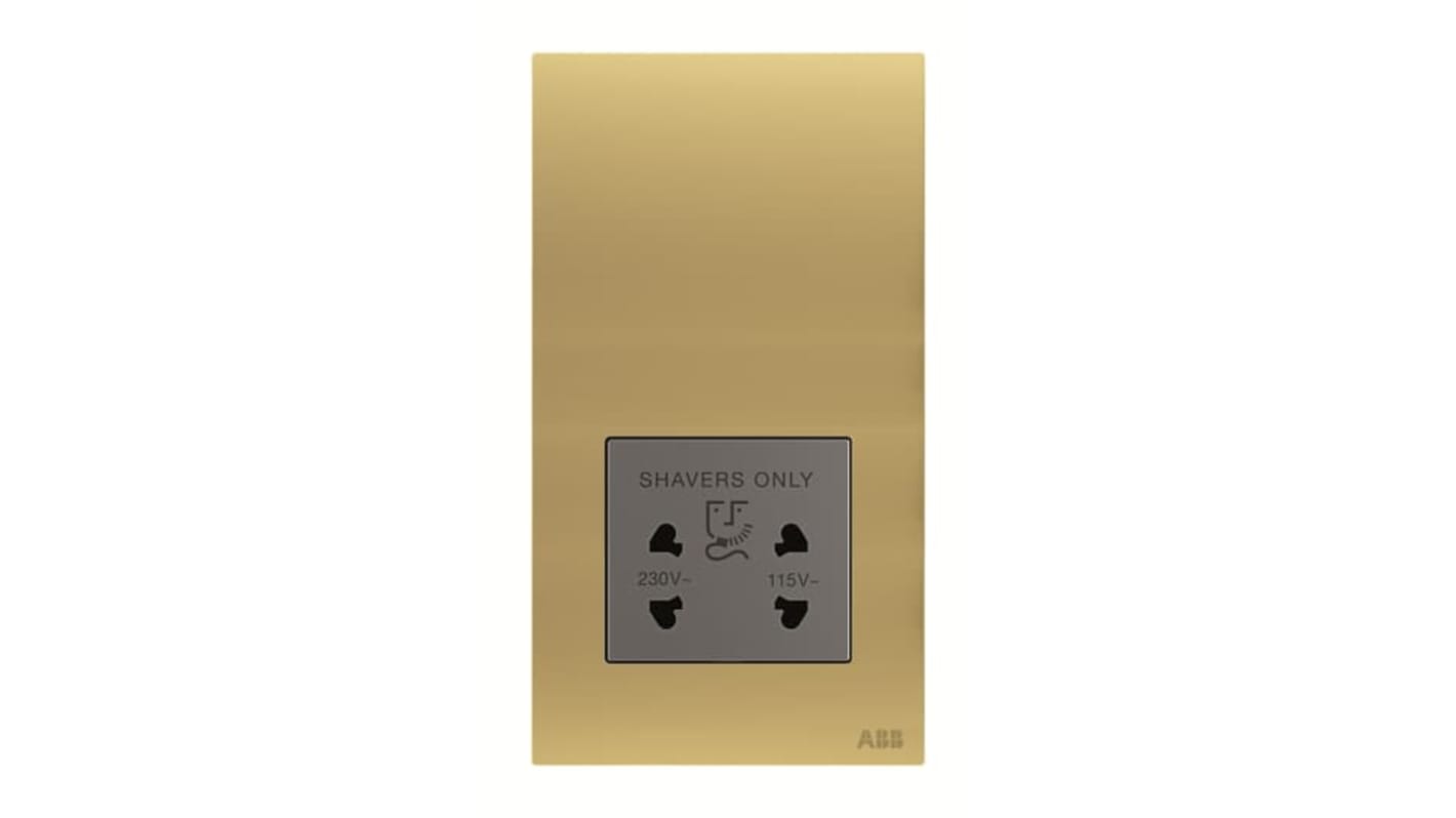 ABB Gold 1 Gang Plug Socket, 2 Poles, 20A, Outdoor Use