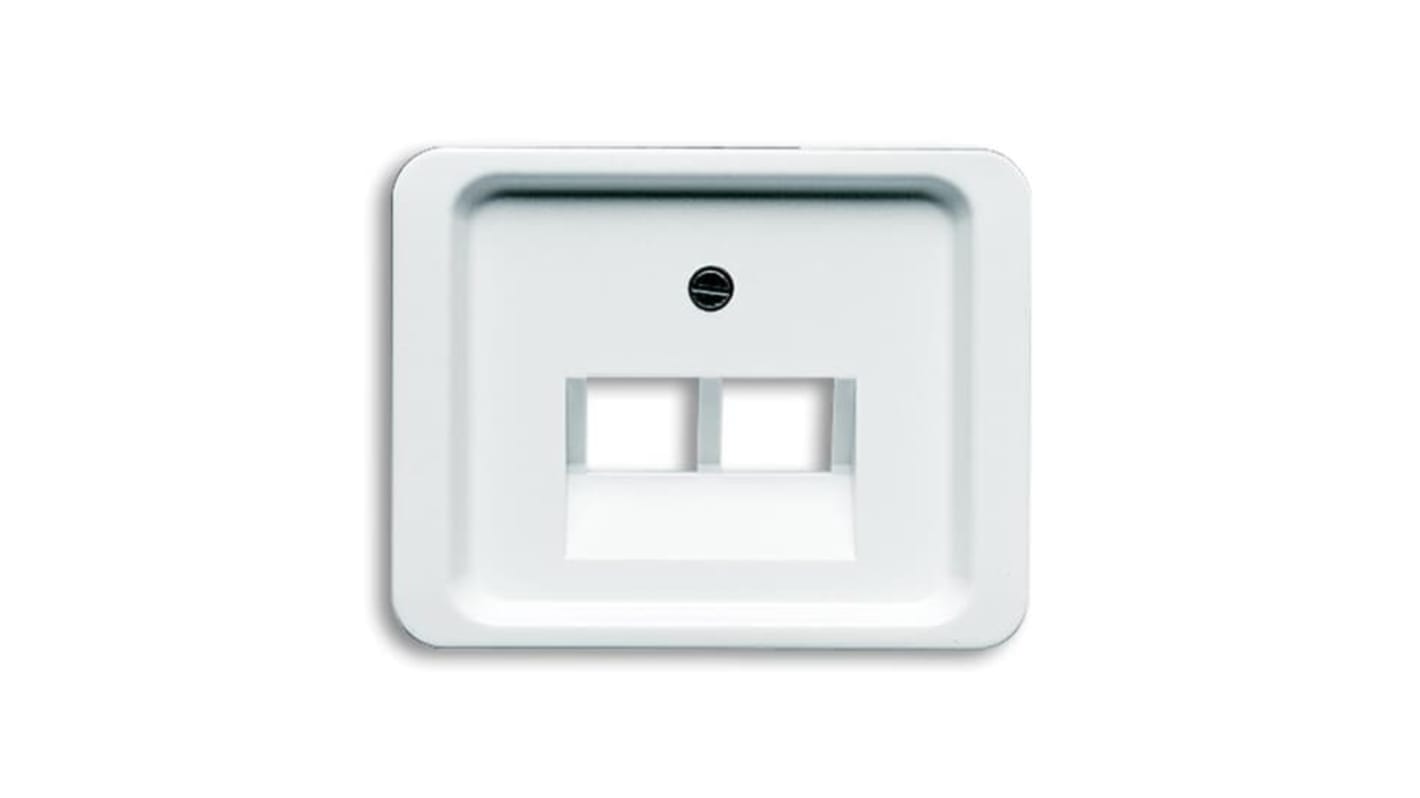 ABB White 2 Gang Plastic RJ45 Cover Plate