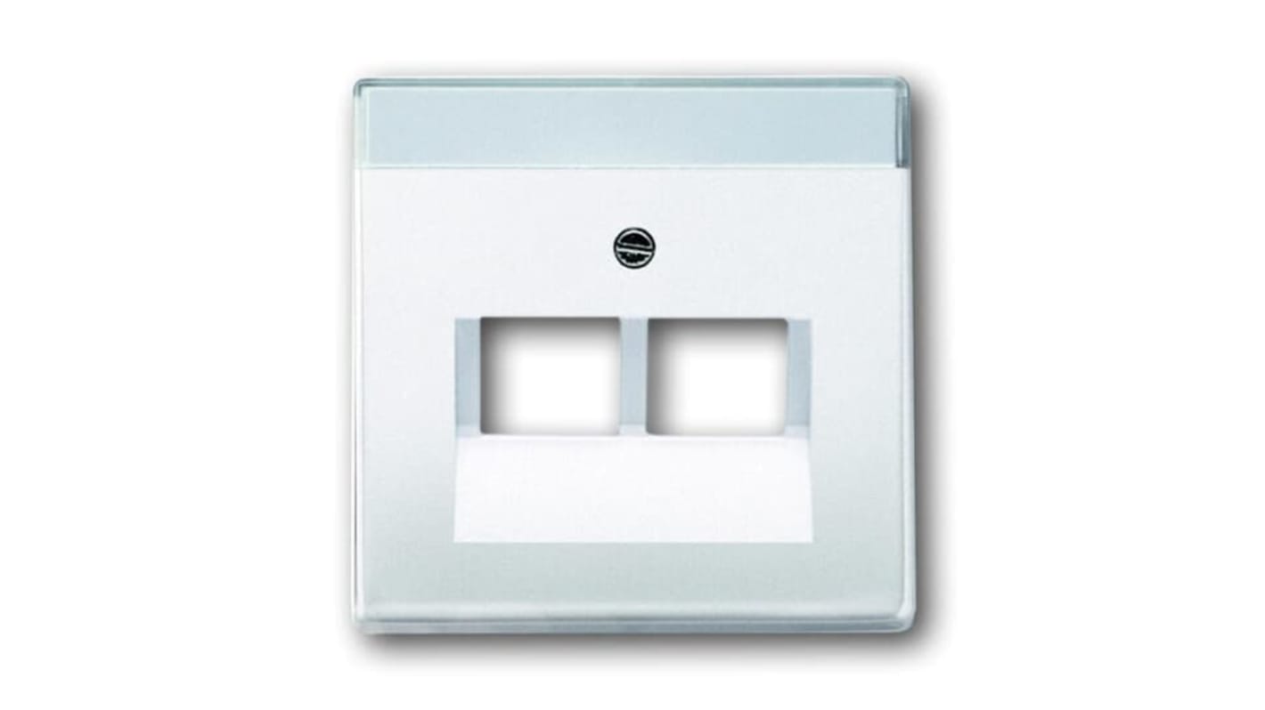 ABB White 2 Gang Plastic RJ45 Cover Plate