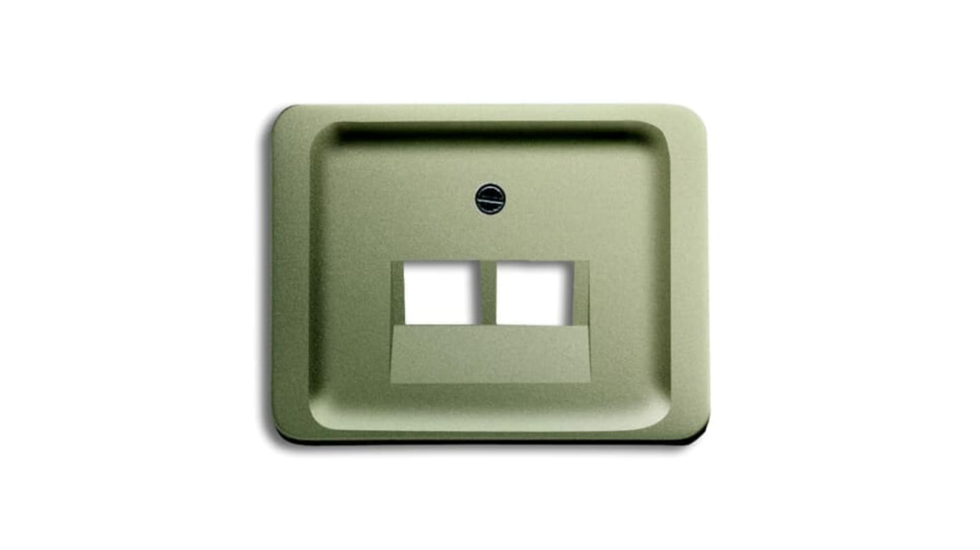 ABB Grey 2 Gang Plastic RJ45 Cover Plate