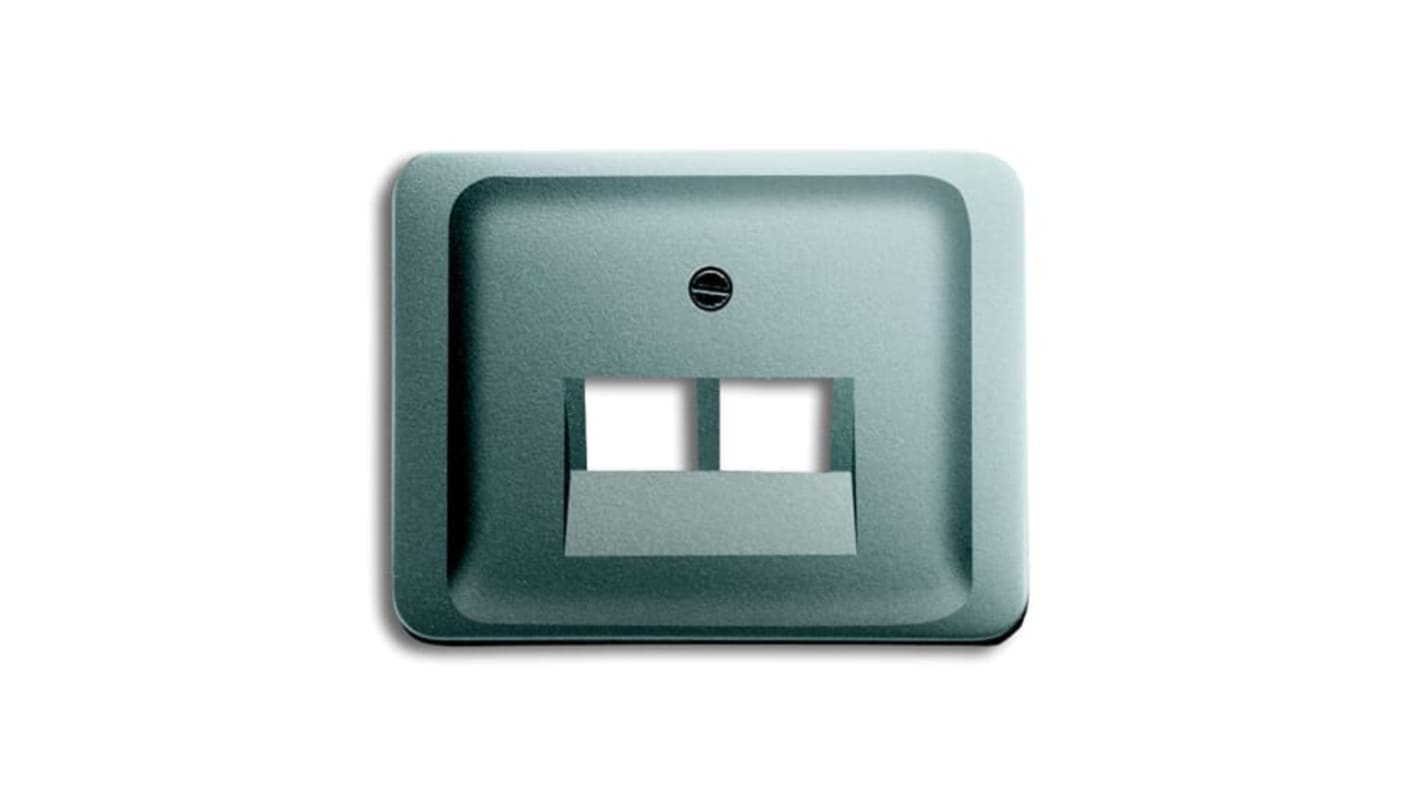 ABB Grey 2 Gang Plastic RJ45 Cover Plate