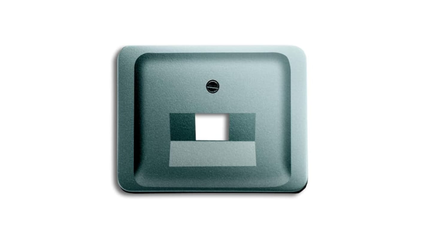 ABB Grey 1 Gang Plastic RJ45 Cover Plate