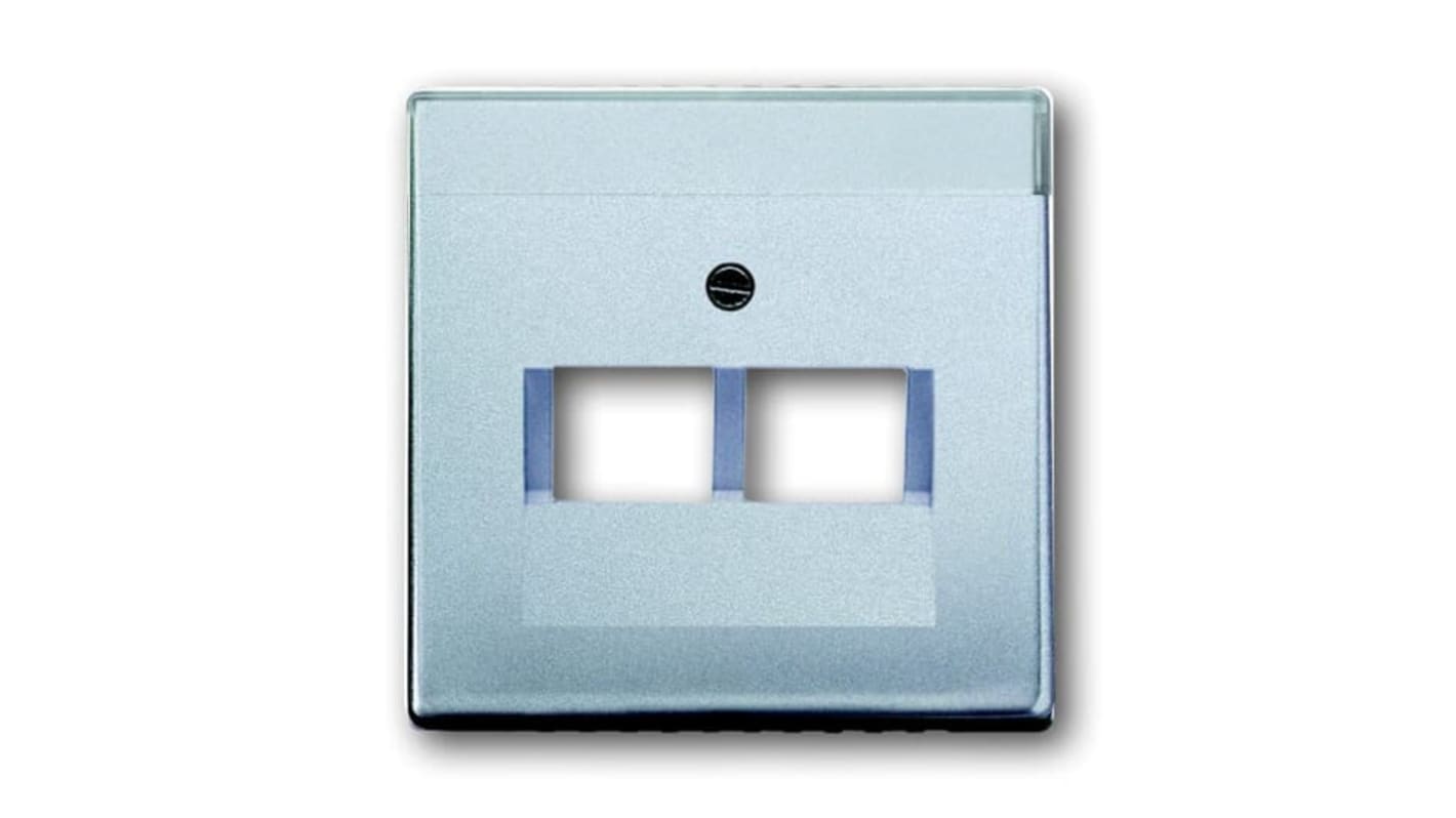 ABB White 2 Gang Plastic RJ45 Cover Plate