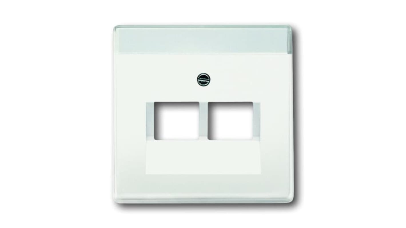 ABB White 2 Gang Plastic RJ45 Cover Plate