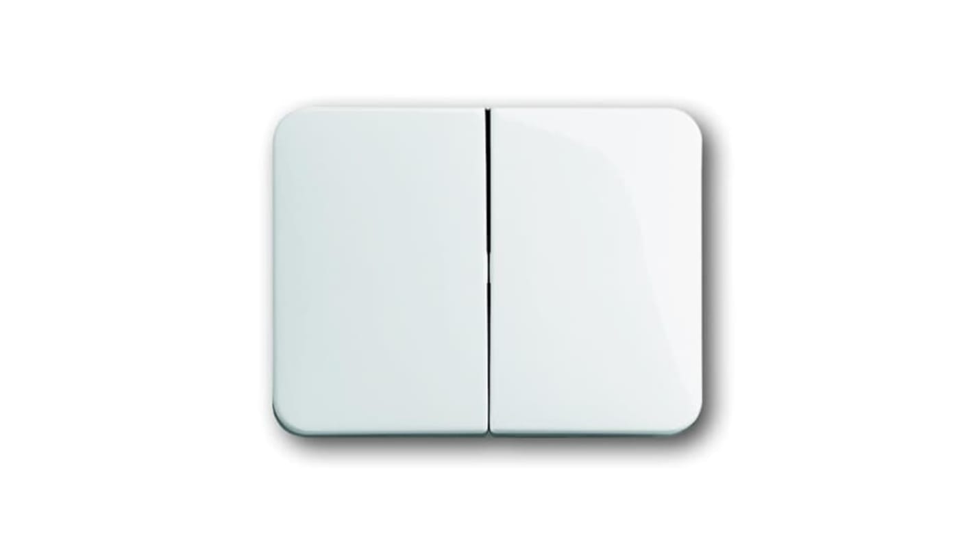 ABB White 2 Gang Light Switch Cover