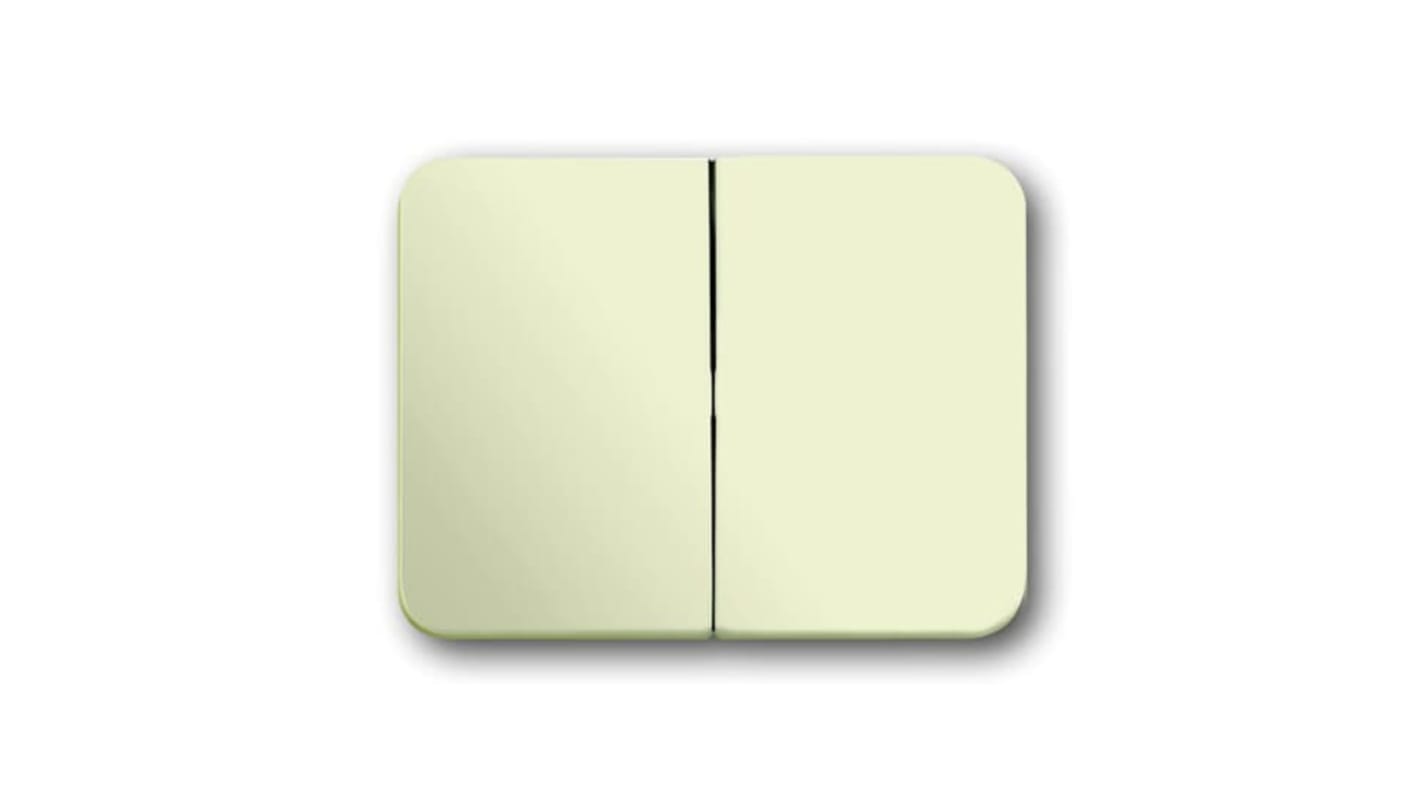 ABB White 2 Gang Light Switch Cover