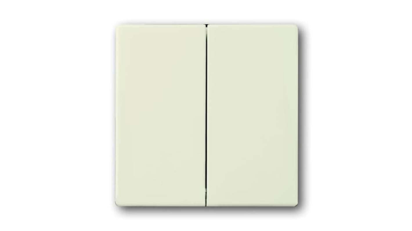 ABB White 2 Gang Light Switch Cover