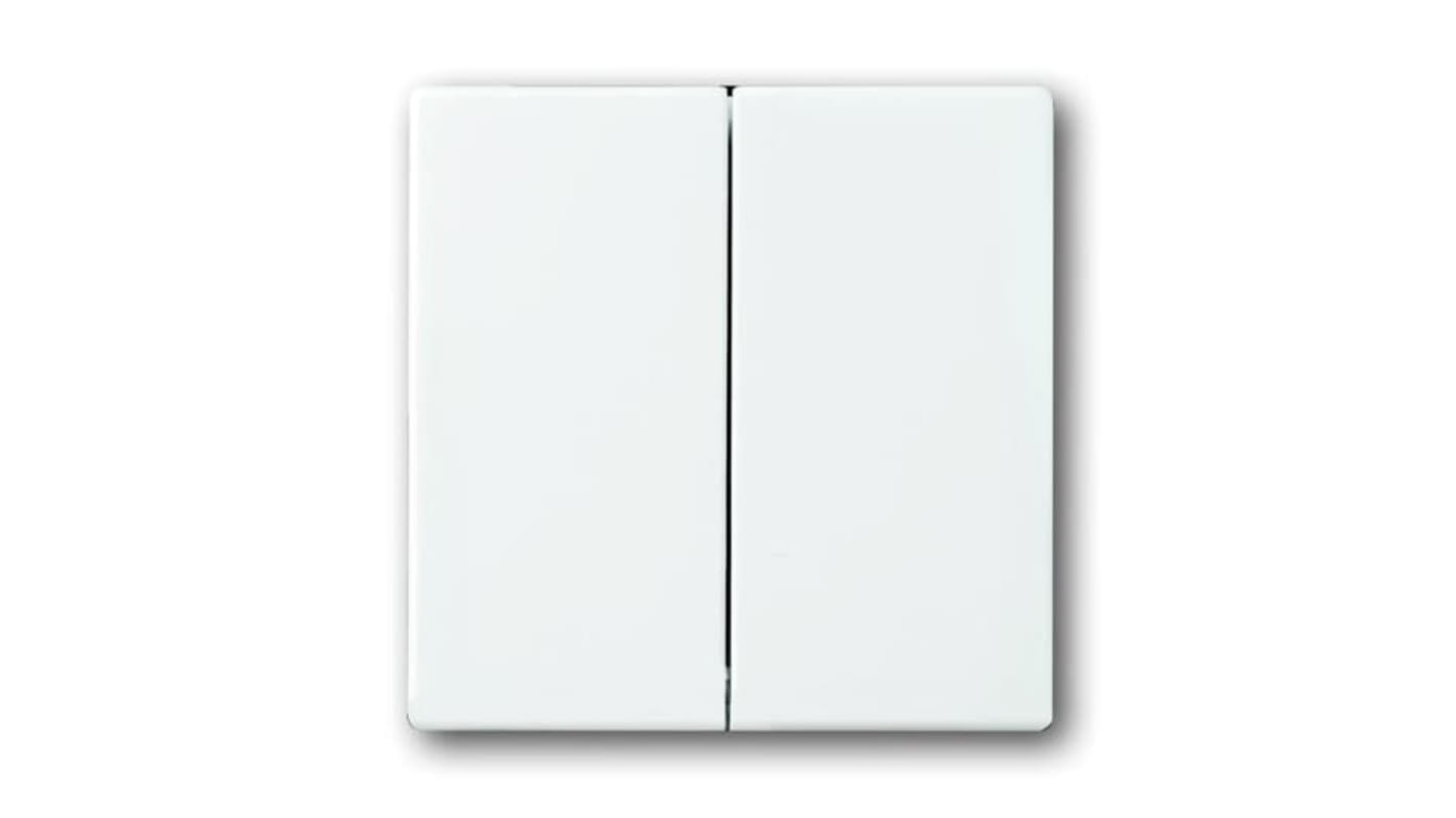 ABB White 2 Gang Light Switch Cover