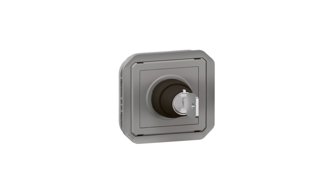 Interrruptor, Gris, Montaje Pared, IP55, Legrand 069534L