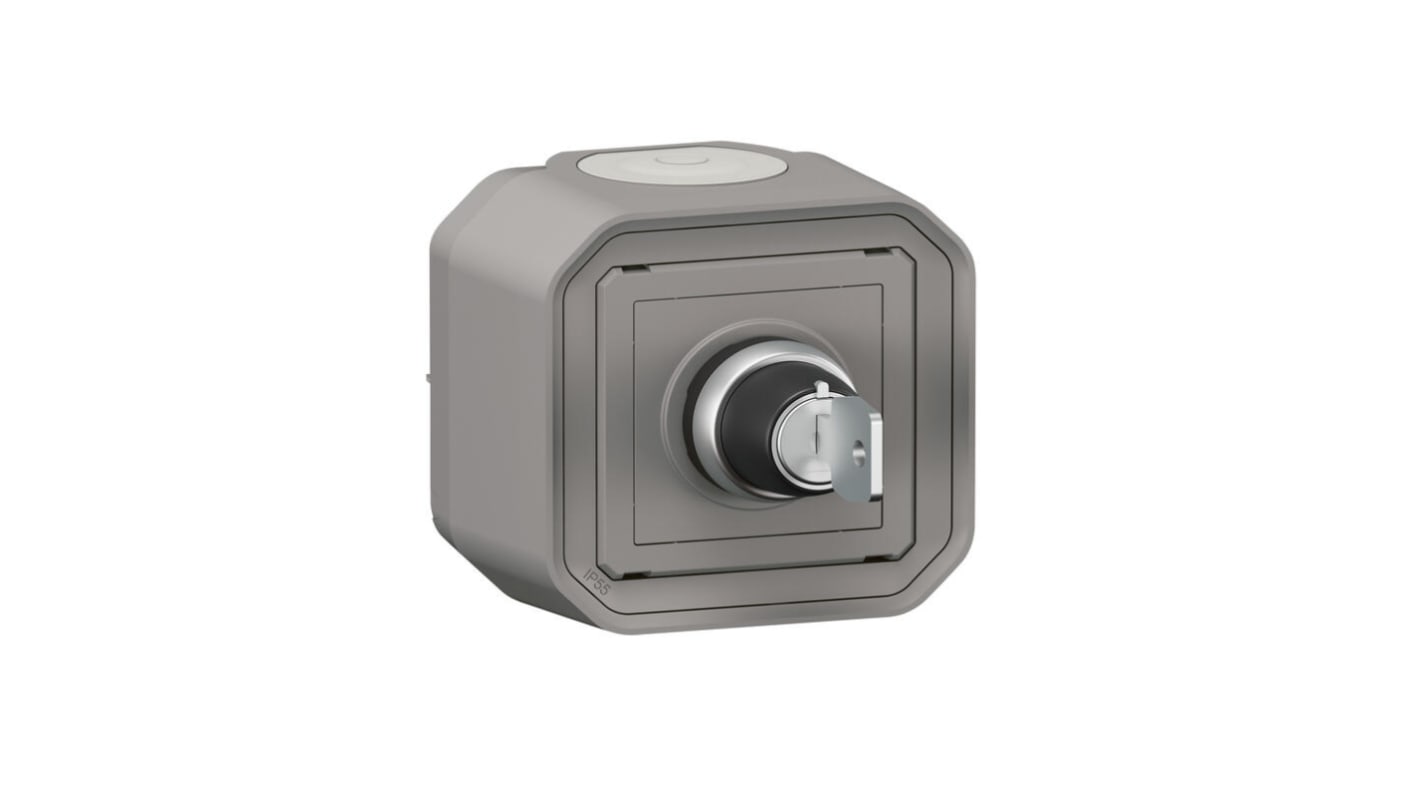 069738L Legrand Key Switch RS