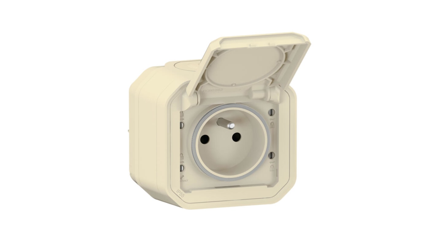 069776L Legrand Plug Socket, 2 Poles, NF Socket RS