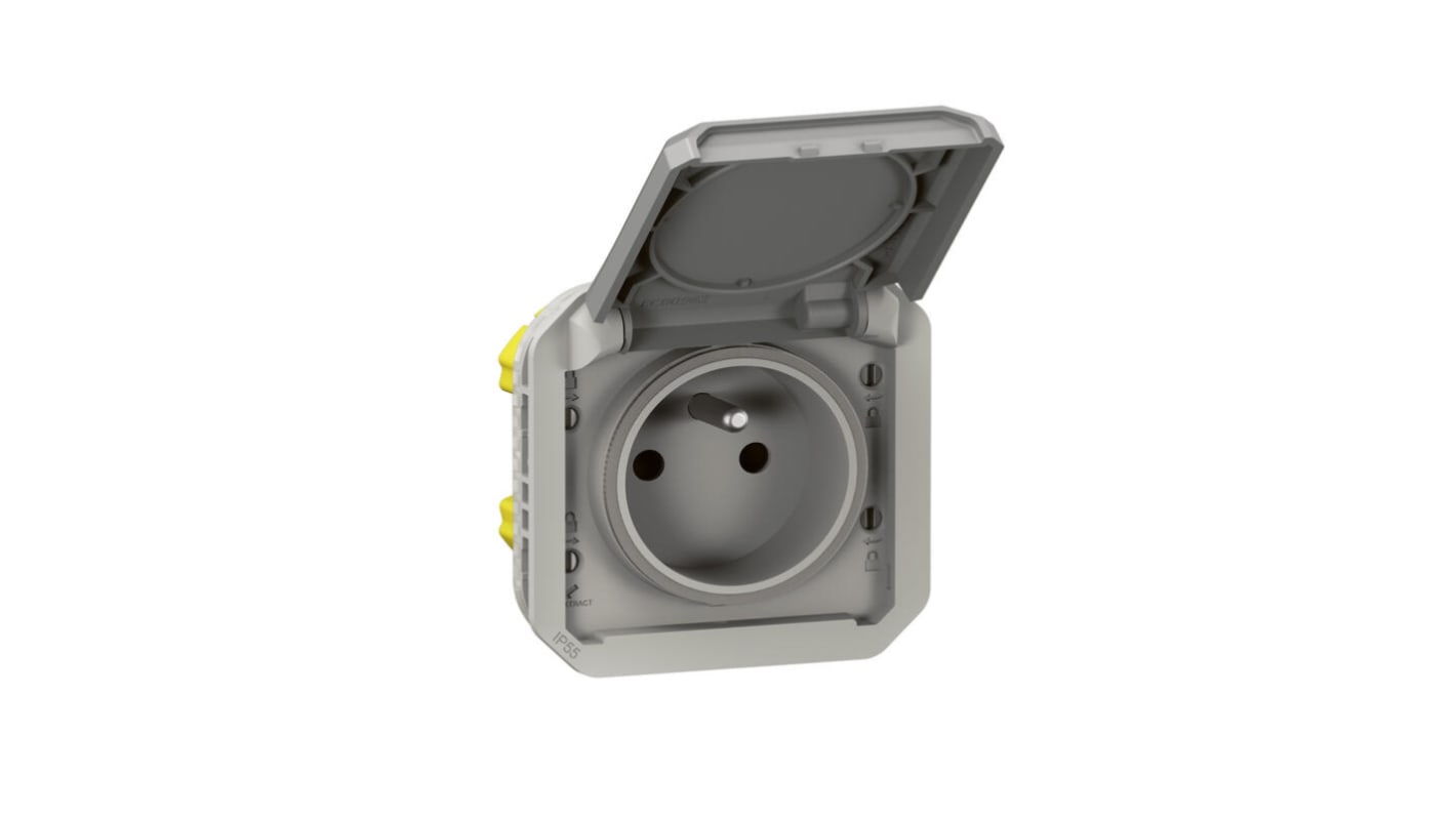 070042 Legrand Grey Plug Socket, NF Socket RS