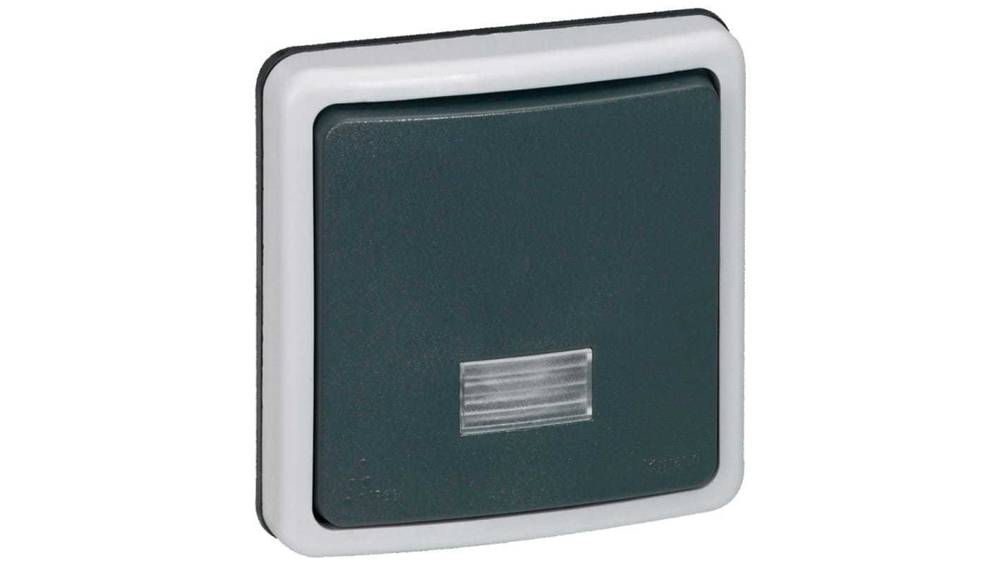 Interruttore luce Legrand, 10A, 250V, Grigio, IP55 Plexo