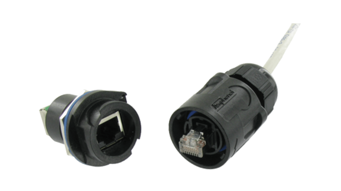 Connecteur Ethernet cat 6 Amphenol Socapex Mâle Contre-écrou, ports