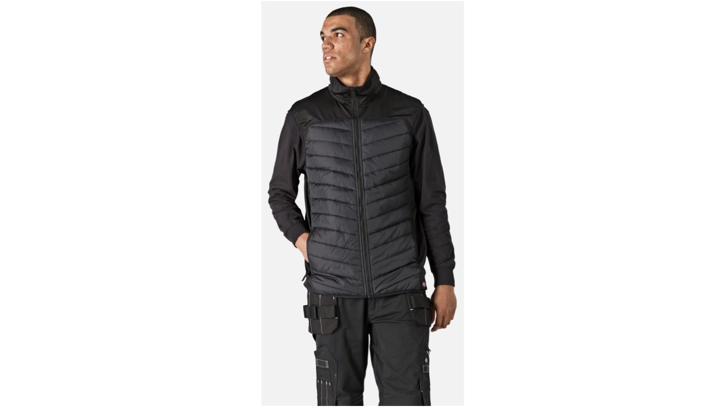 Bodywarmer Dickies Homme, taille M, Isolation thermique