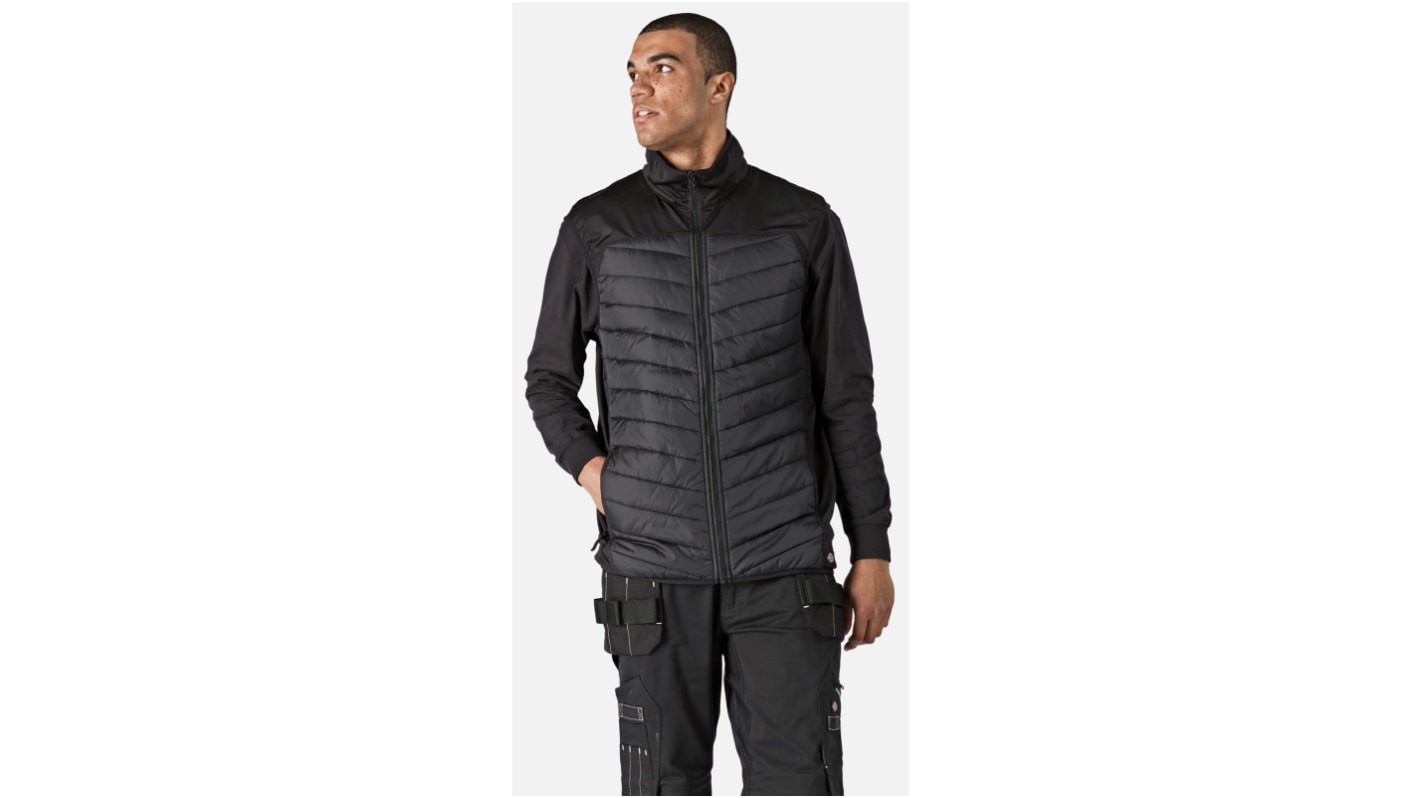 Bodywarmer Dickies Homme, taille XL, Isolation thermique