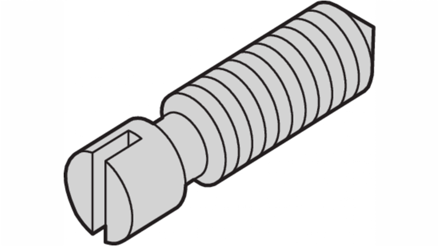 nVent SCHROFF Madenschraube x 8mm, Stahl