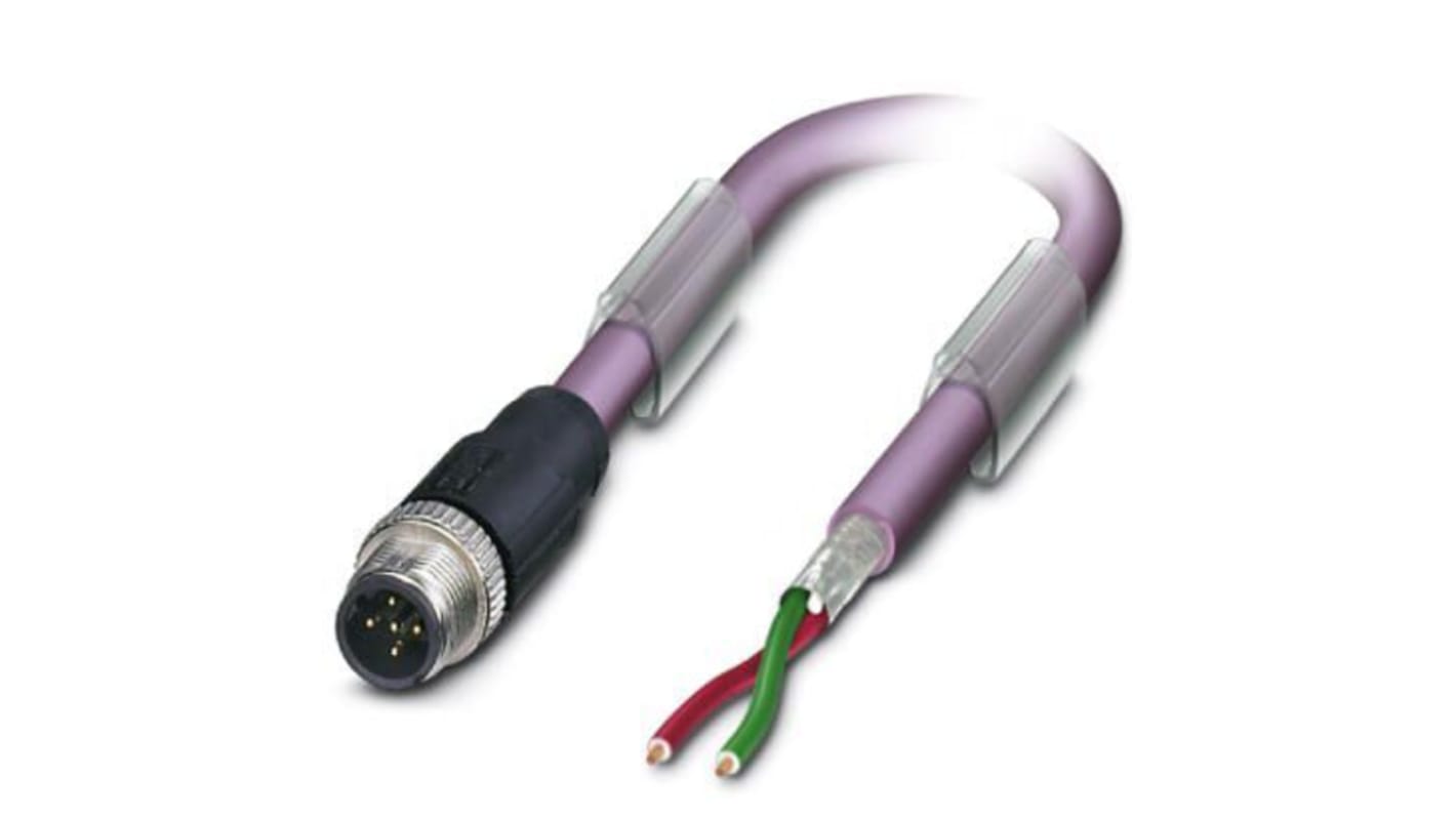 Phoenix Contact Straight Male M12 to Unterminated Bus Cable, 2m