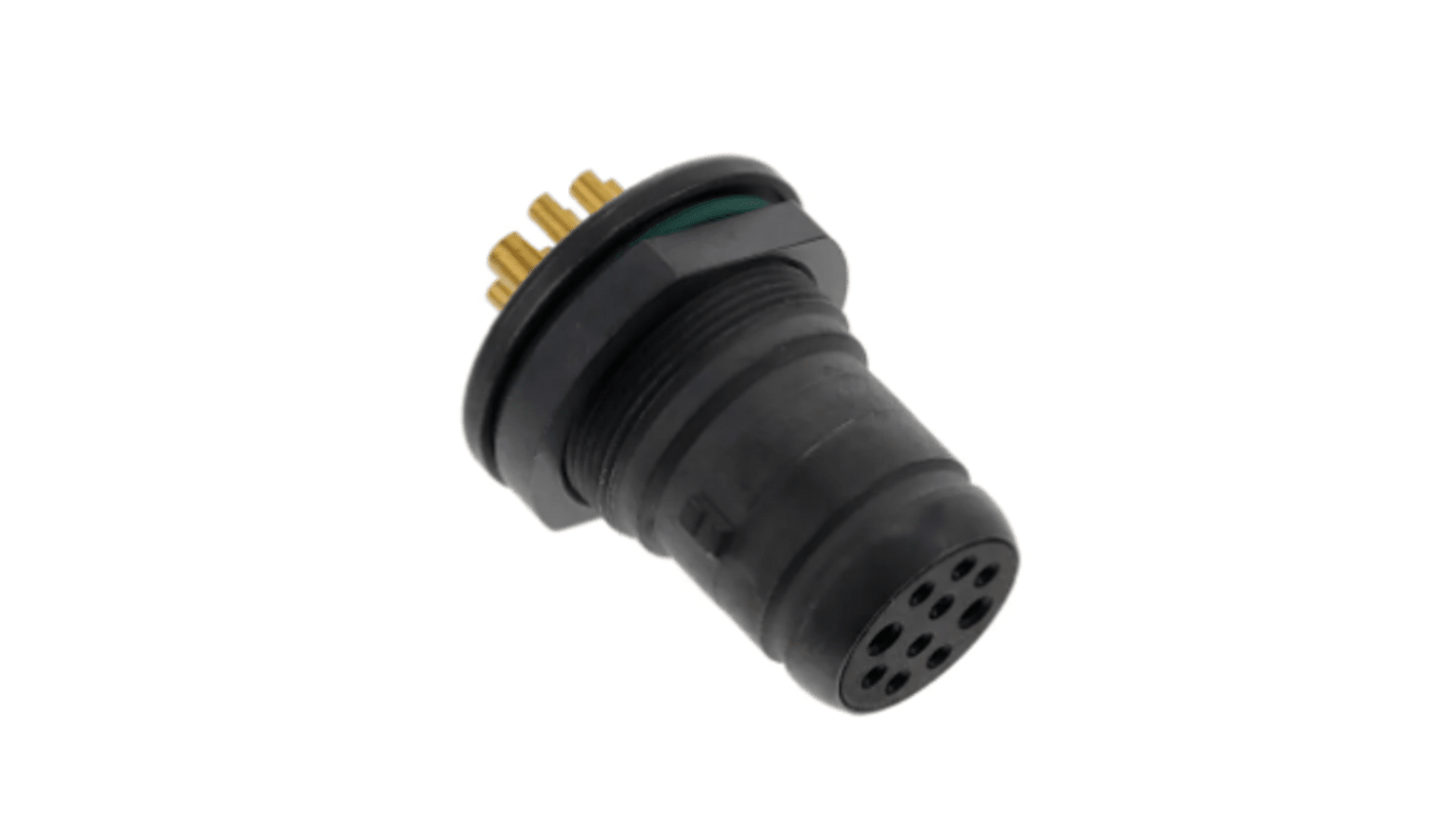 Conector circular Amphenol Limited Conector hembra serie Terrapin de 12 vías hembra